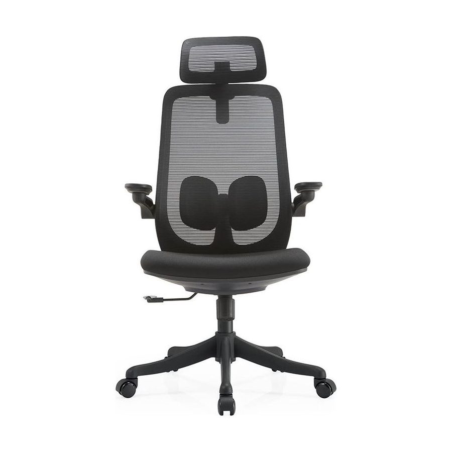 GAROWE Ergonomic Office Chair — product photo